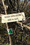 A csúcs