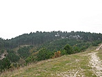 Felsenberg
