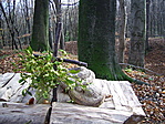 Oltár