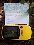 Logbook és placc logo