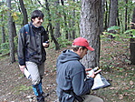 Gombacache Csapdokival