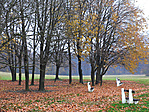 a park
