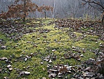 Moha I.