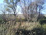 Patakpart