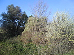 Patakpart