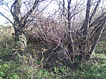 Patakpart