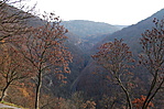A kilátás