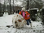 Hóember alap