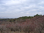 Környezet.