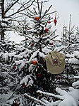 placc logo a helyszinen