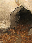 Bemerészkedés