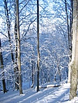 Ládakörnyék