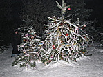 \\Vizimalom\My Pictures\2011_01_01
