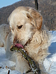 Csontra gondolva