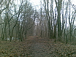 Közeledve