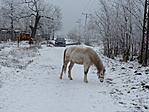 Ő kísért a kocsimtól egy darabon