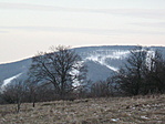 A sípályák.
