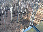 Ösvények