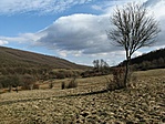 Tavaszias