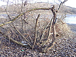 A helyszín.