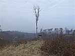Les - fa - derengő Kőris-hegy