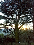 naplementében