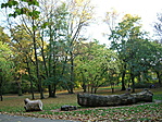 Park