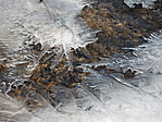 olvadás