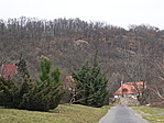 bagolyszikla
