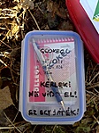 ládikó