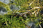 Befagyva