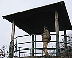 Kilátó
