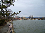 Tó