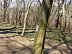 Jelzések