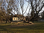 Hajlások