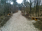 keresztút