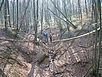 Lehidalunk