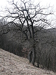 Összegabalyodva