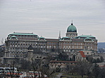 Budai vár