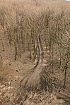 A toronyból
