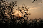 Visszafelé