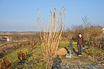 mezilabaspark