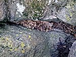 Új relytek 70cm rel odébb.