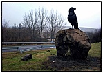 Holló, kő