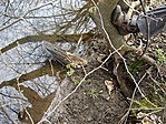 A láda