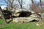 kagyló