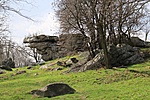 pihenő teve
