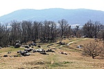 a névadó kőtenger