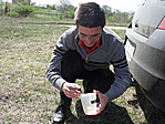 A láda