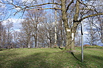 Parkoló környékén